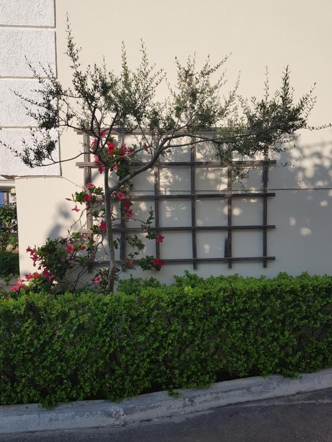 Schinas Apts. Apartment Tolofon Luaran gambar